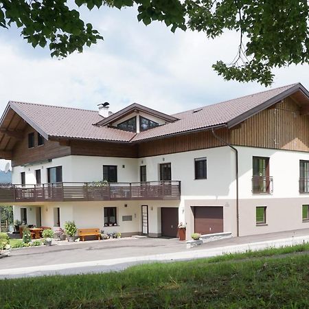 Ferienwohnung Hausleitner Zell am Moos Εξωτερικό φωτογραφία