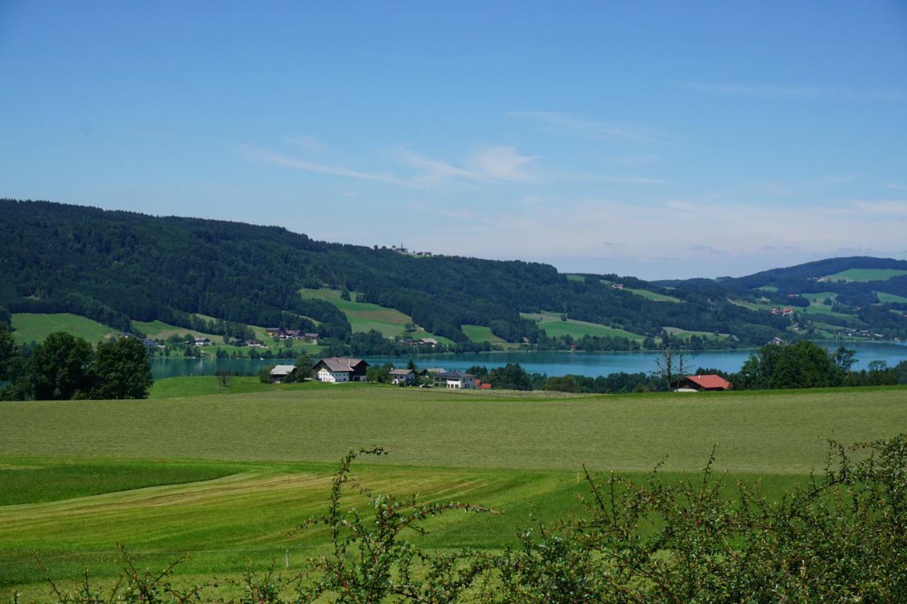 Ferienwohnung Hausleitner Zell am Moos Εξωτερικό φωτογραφία