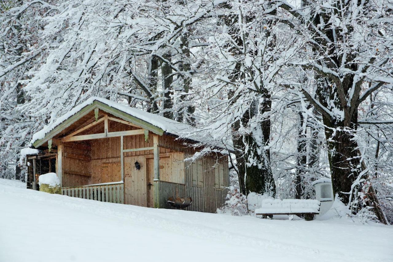 Ferienwohnung Hausleitner Zell am Moos Εξωτερικό φωτογραφία